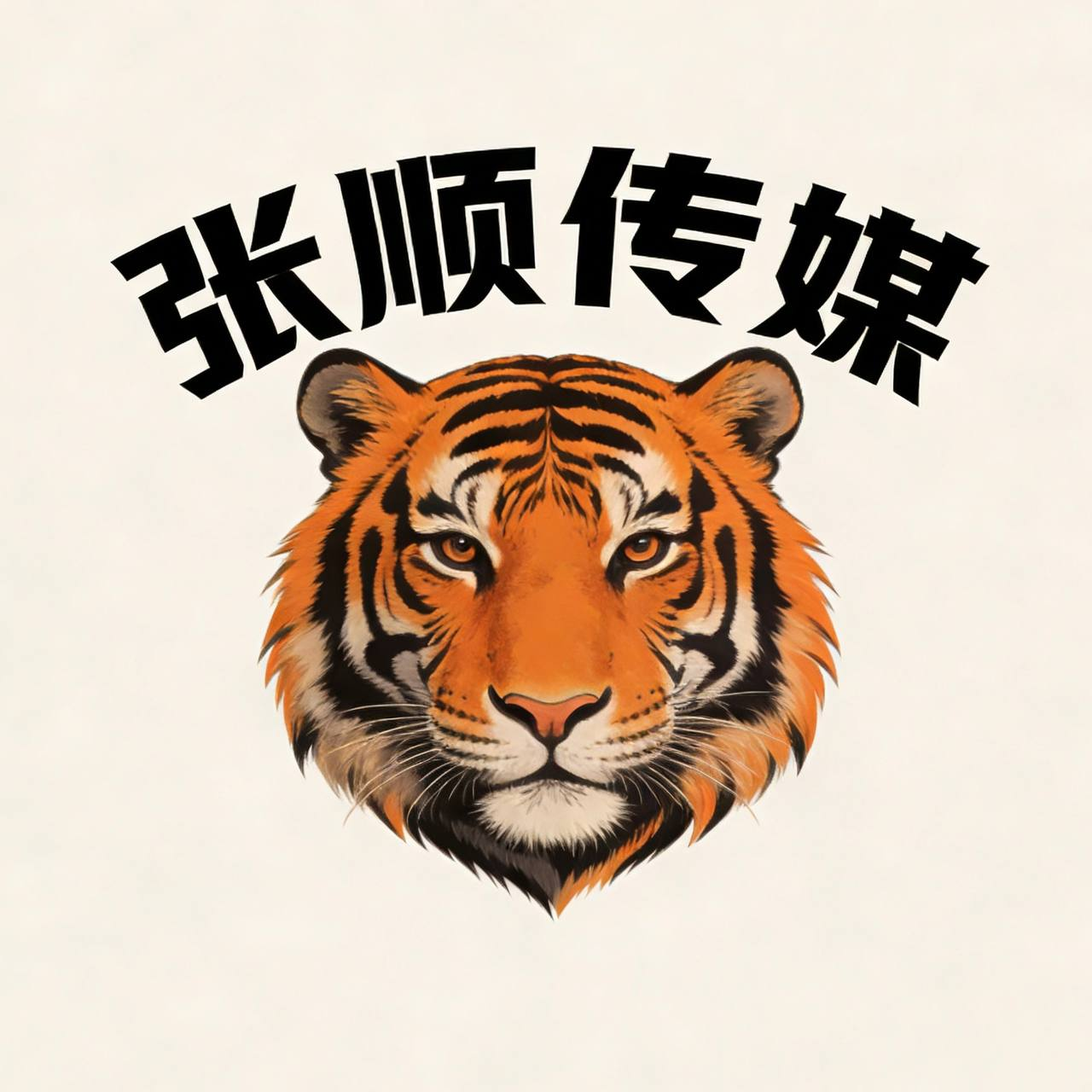 张顺传媒